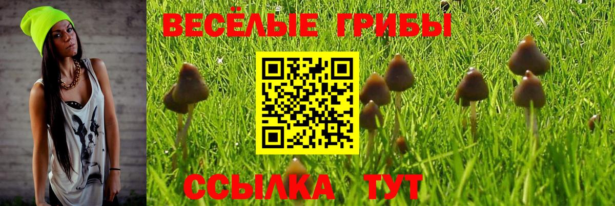 Псилоцибиновые грибы Magic Shrooms  Вход с VPN  Учалы 